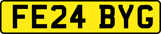 FE24BYG
