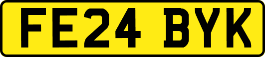 FE24BYK