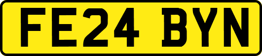 FE24BYN