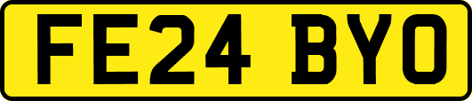 FE24BYO