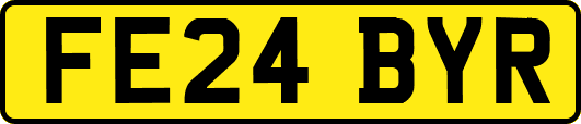 FE24BYR