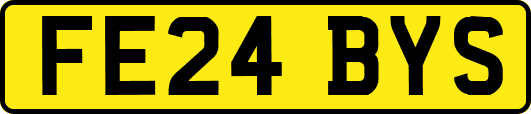 FE24BYS