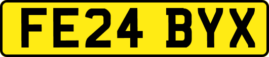 FE24BYX