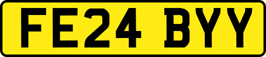 FE24BYY