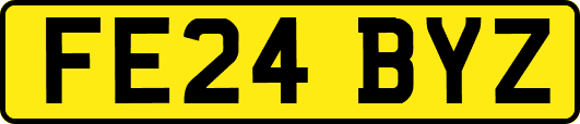 FE24BYZ