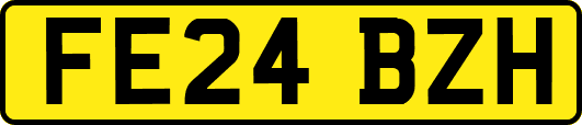 FE24BZH