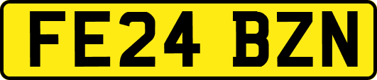 FE24BZN