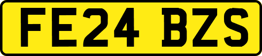 FE24BZS