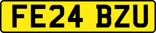 FE24BZU