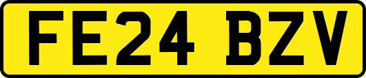 FE24BZV