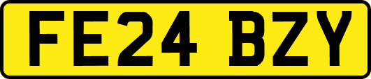 FE24BZY