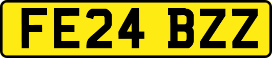 FE24BZZ