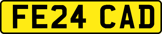 FE24CAD