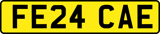 FE24CAE