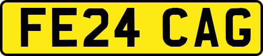 FE24CAG