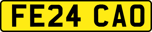 FE24CAO