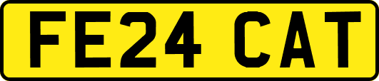 FE24CAT