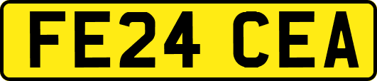 FE24CEA