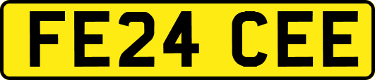 FE24CEE