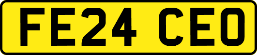 FE24CEO