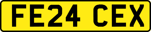FE24CEX