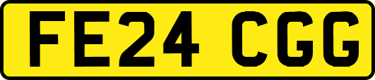 FE24CGG