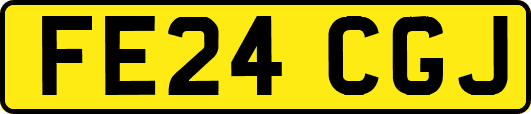 FE24CGJ