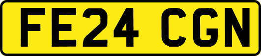 FE24CGN