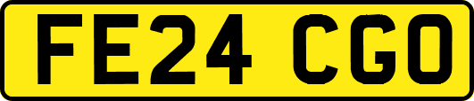 FE24CGO