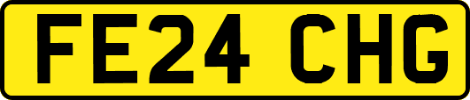 FE24CHG