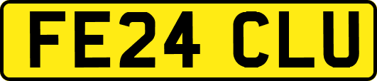 FE24CLU