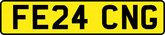 FE24CNG