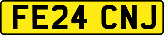 FE24CNJ