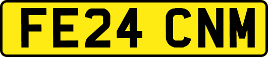 FE24CNM