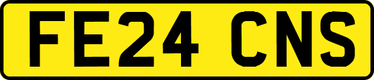 FE24CNS