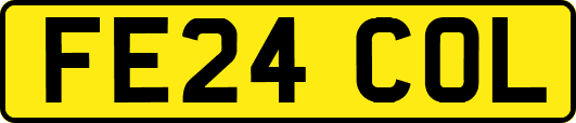 FE24COL