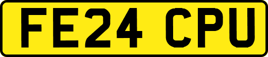 FE24CPU