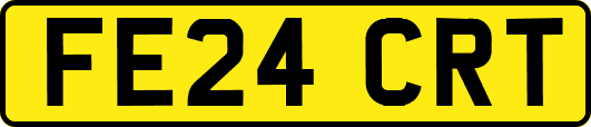 FE24CRT