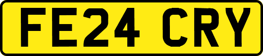 FE24CRY