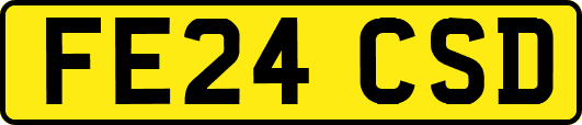 FE24CSD