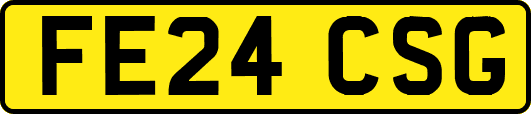 FE24CSG