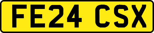 FE24CSX