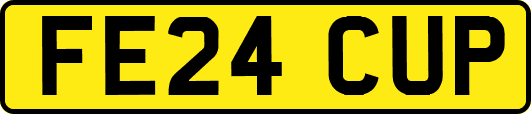 FE24CUP