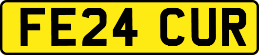 FE24CUR