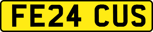 FE24CUS