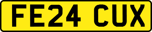 FE24CUX