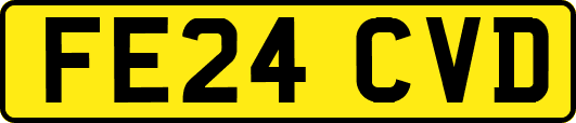 FE24CVD