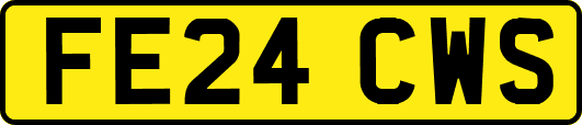 FE24CWS