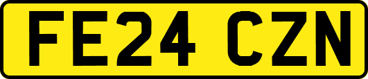 FE24CZN