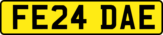 FE24DAE